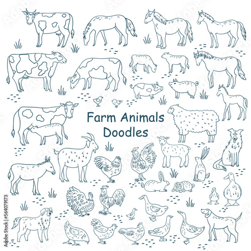 Fototapeta Naklejka Na Ścianę i Meble -  Farm animals icons set. Collection of labels with beautiful such as goat chicken pig boar duck goose horse cow Turkey hare ostrich deer butcher shop, steak house. Vector illustration