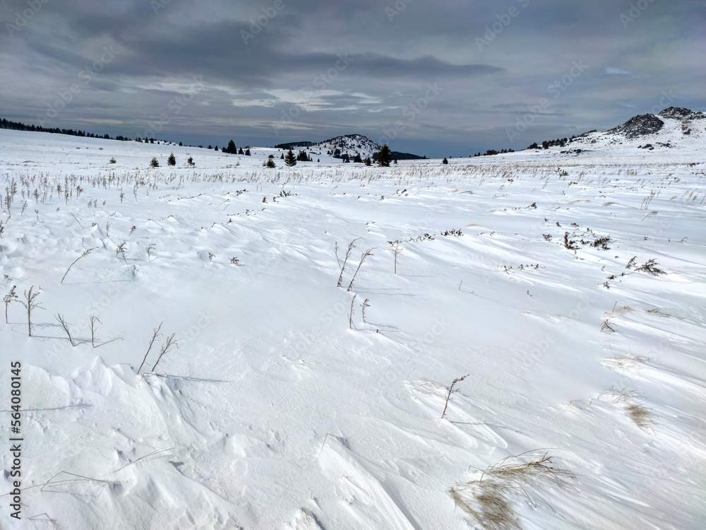 Winter landscape near Platoto area at Vitosha Mountain, Bulgaria