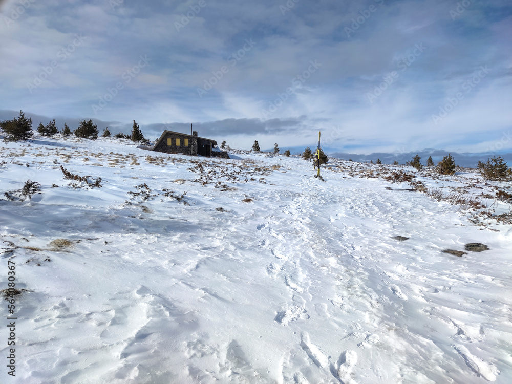 Winter landscape near Platoto area at Vitosha Mountain, Bulgaria Winter landscape near Platoto area at Vitosha Mountain, Bulgaria