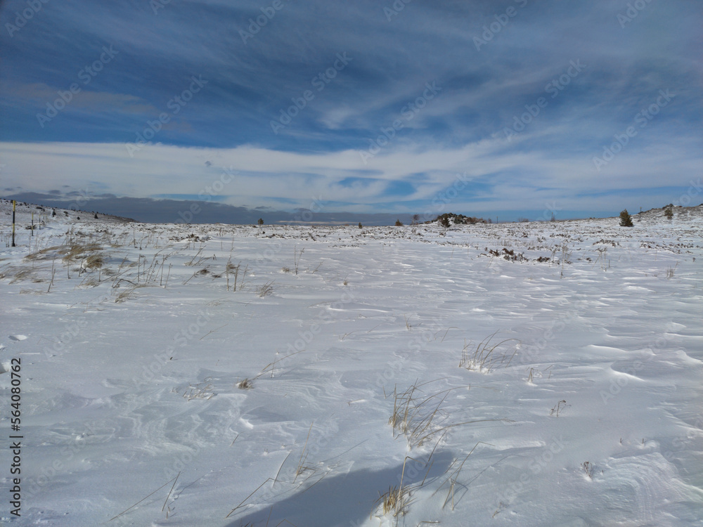 Winter landscape near Platoto area at Vitosha Mountain, Bulgaria