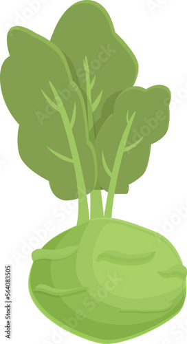 Garden kohlrabi icon cartoon vector. Healthy food. Nature design