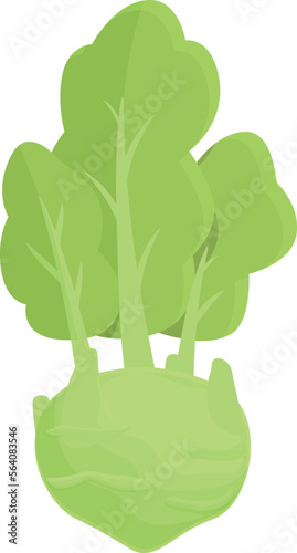 Farm kohlrabi icon cartoon vector. Healthy food. Organic garden
