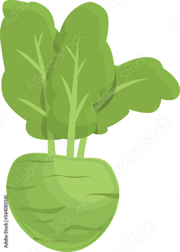 Cooking kohlrabi icon cartoon vector. Healthy food. Organic plant