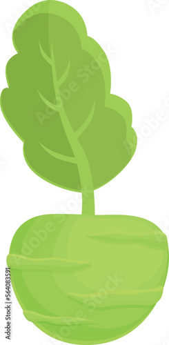 Eco kohlrabi icon cartoon vector. Healthy food. Organic plant