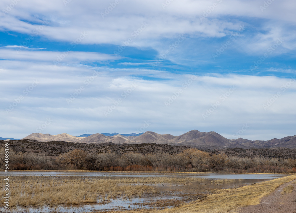 Bosque del Apache marshes with New Mexico mountains in background