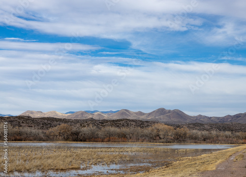 Bosque del Apache marshes with New Mexico mountains in background