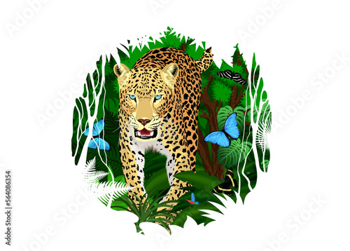 Vector sticker - tropical rainforest Jungle with jaguar