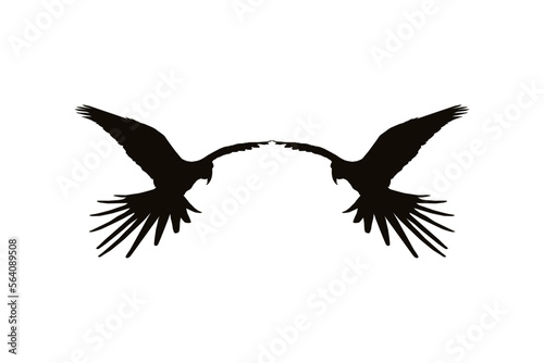 Flying Macaw Bird Silhouette for Logo  Pictogram  Art Illustration  Website or Graphic Design Element. Vector Illustration