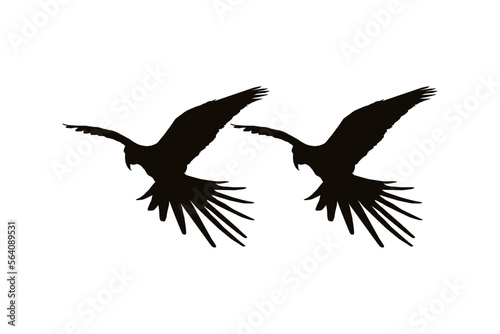 Flying Macaw Bird Silhouette for Logo, Pictogram, Art Illustration, Website or Graphic Design Element. Vector Illustration
