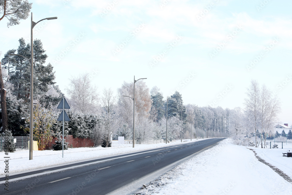 Beautiful view of road near forest in winter morning