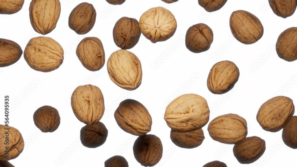 Looping animation featuring a cloud of Walnuts falling endlessly on a featureless white background. Looping animation featuring a cloud of Walnuts falling endlessly on a featureless white background.