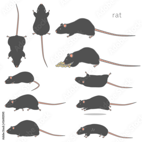 黒いラットのベクターイラストセット（食事、あおり、ふかん、うつぶせ、走る、太る、やせる）