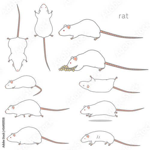 ラットのベクターイラストセット（食事、あおり、ふかん、うつぶせ、走る、太る、やせる）