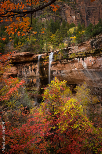 Fall Foliage with the Zion Waterfalls