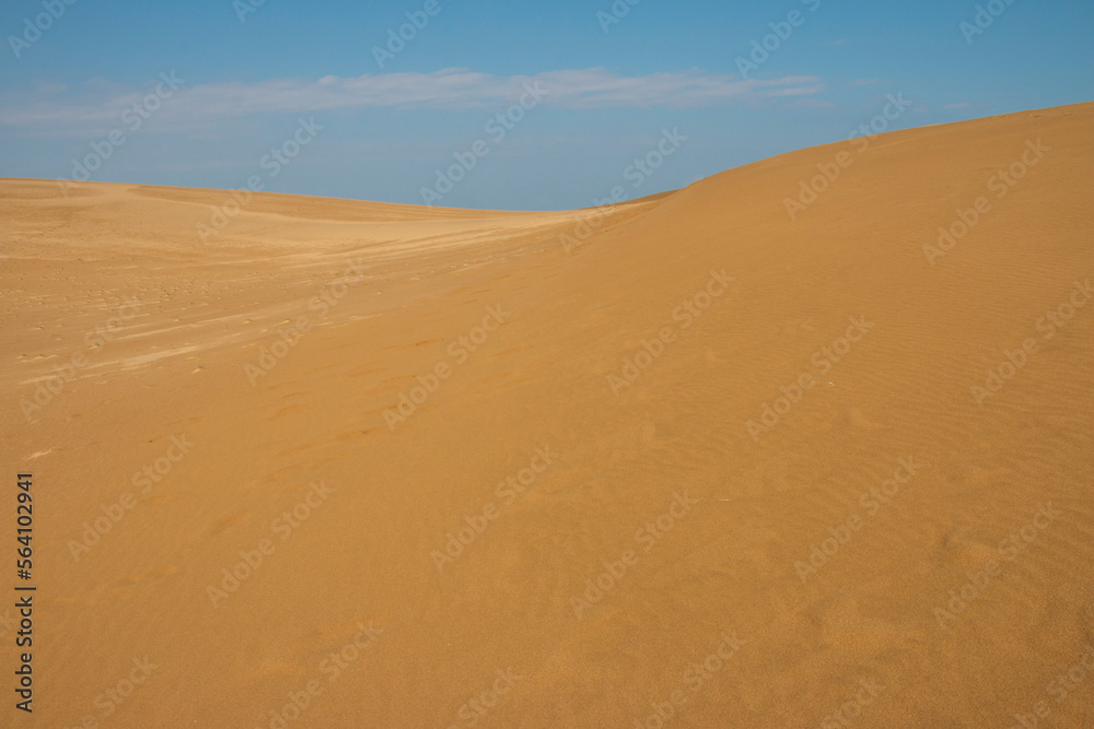 The Tottori sand dune is an elevation (hill) formed by wind-blown sand.Tottori sand dune (Totori Sakyu), Japan