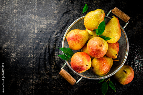 Juicy pears in a colander with foliage. 