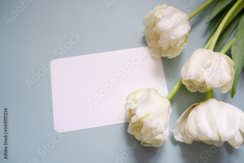 Fototapeta Naklejka Na Ścianę i Meble -  Beautiful white tulips and blank card on pale blue background. spring greeting message card composition with flowers. Women's day, Mother's day and Wedding day background.