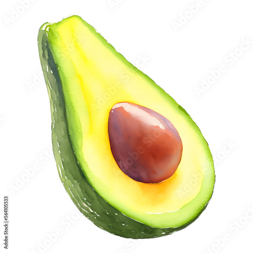 avocado fruit digital drawing with watercolor style illustration