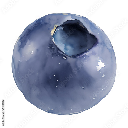 blueberry digital drawing with watercolor style illustration