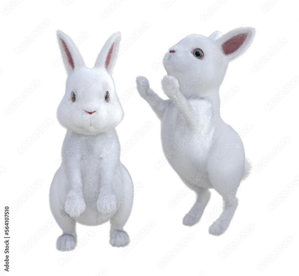 Fototapeta premium Two cute rabbits