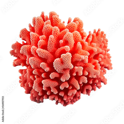 coral transparent png isolated on white background. beautiful coral reef. generative ai