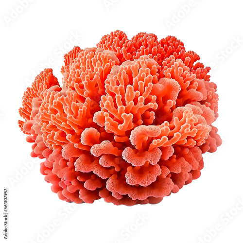 coral transparent png isolated on white background. beautiful coral reef . generative ai
