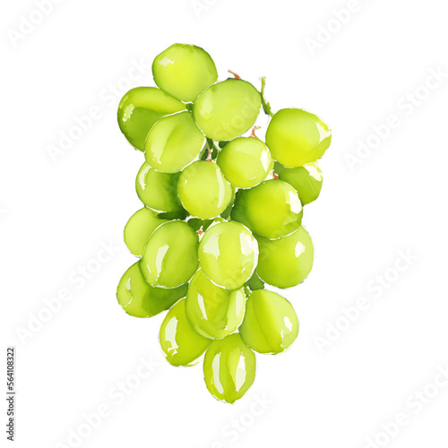 green grape digital drawing with watercolor style illustration
