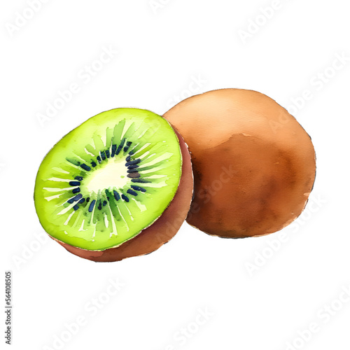 kiwi fruit digital drawing with watercolor style illustration