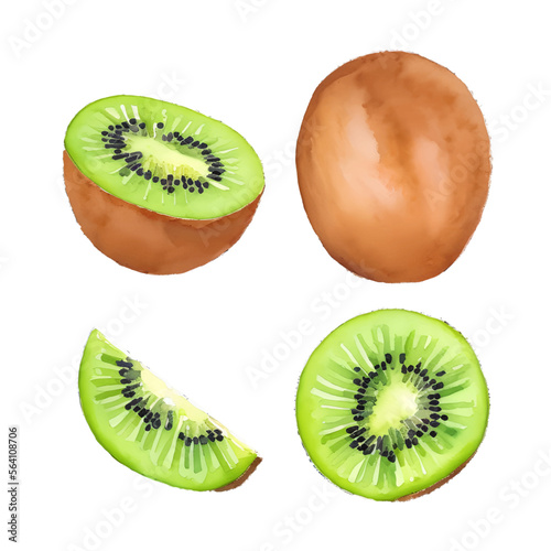 kiwi fruit digital drawing with watercolor style illustration