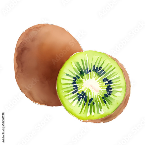 kiwi fruit digital drawing with watercolor style illustration