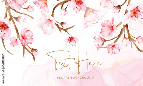 beautiful cherry blossom watercolor floral background