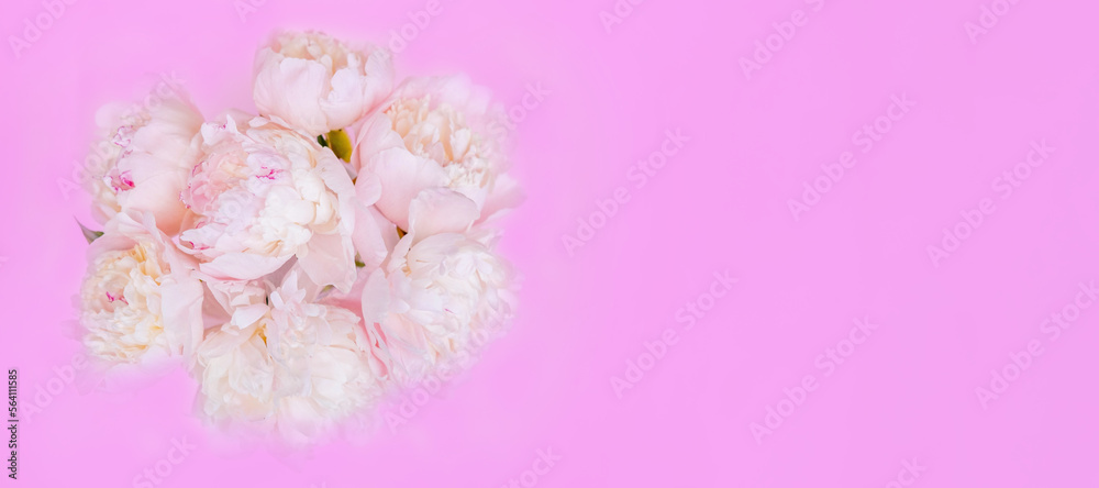 Beautiful garden peony flowers bouquet on pink background. Top view flat lay with space for your holiday greetings Beautiful garden peony flowers bouquet on pink background. Top view flat lay with space for your holiday greetings