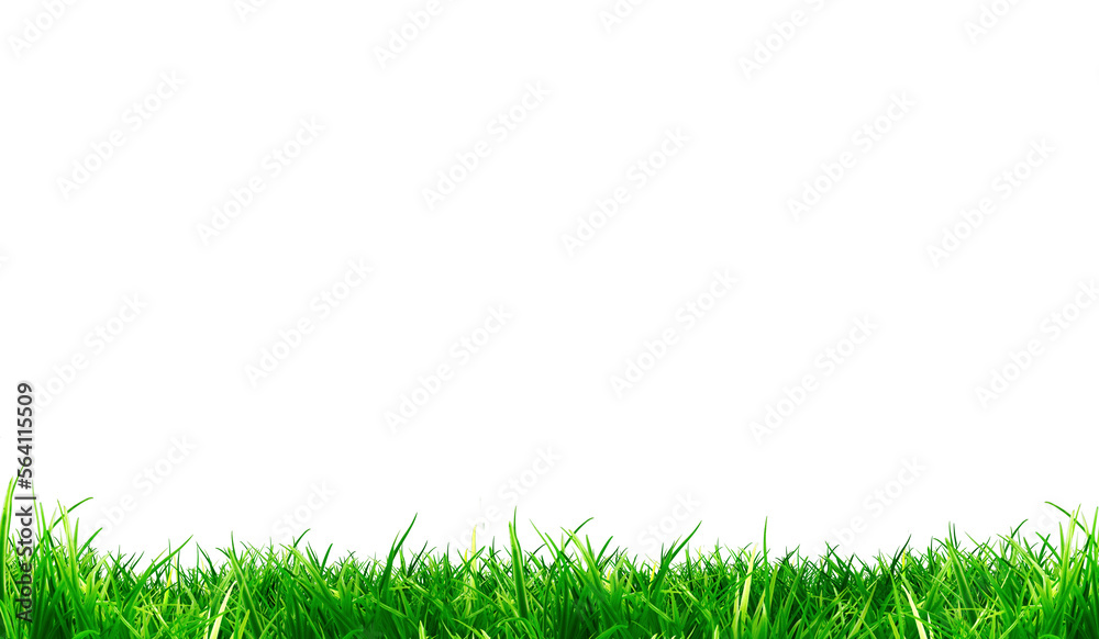 Fresh green grass (landscape ) / png, no background Fresh green grass (landscape ) / png, no background