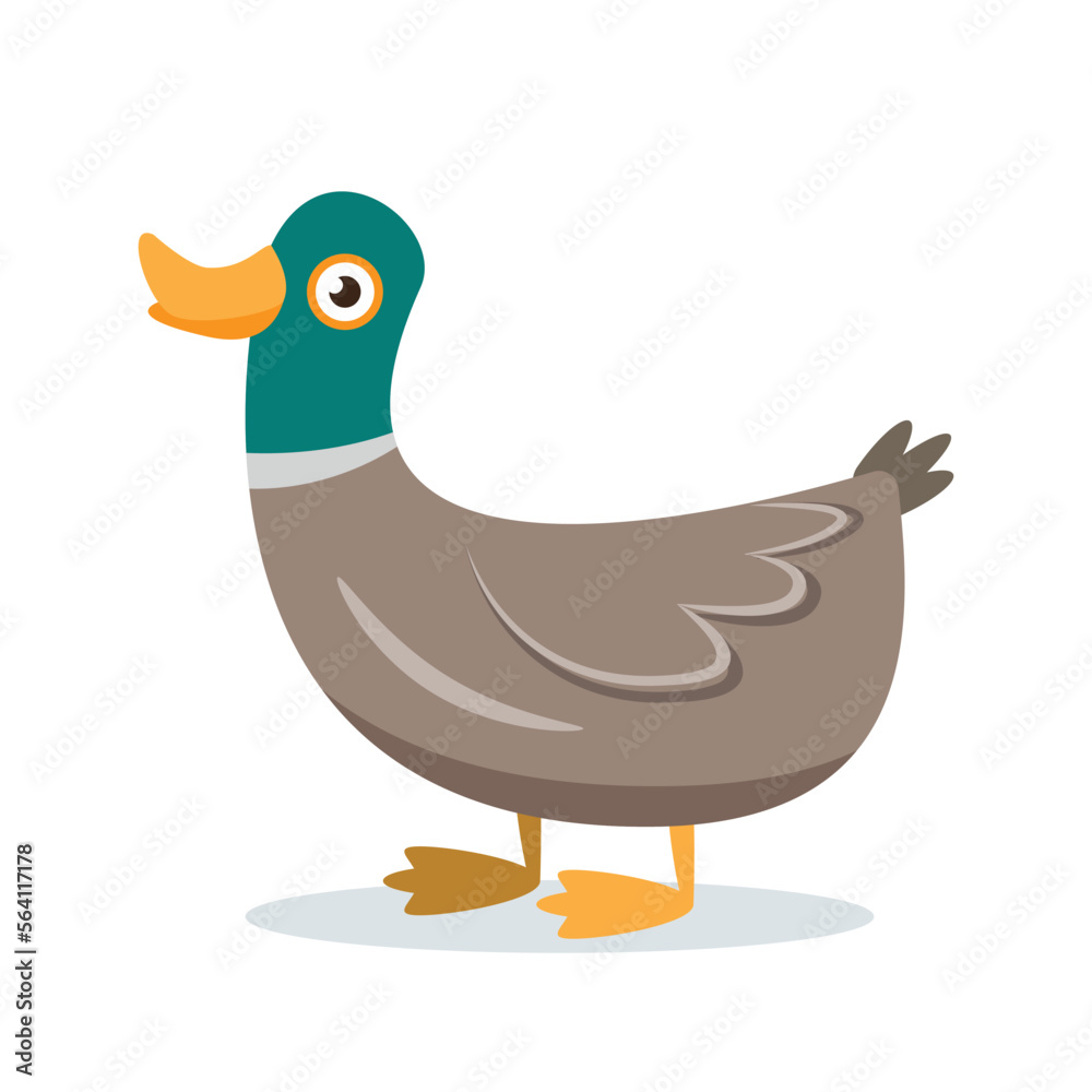 duck cartoon character vector illustration duck cartoon character vector illustration
