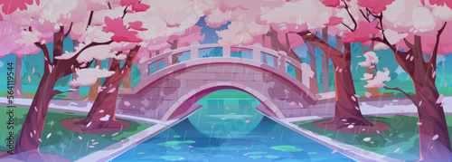 Rainy Japanese cherry garden with bridge and sakura blossom. Spring landscape of park with stone bridge over river or brook, chinese cherry trees with pink flowers, vector cartoon illustration
