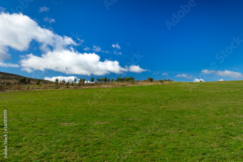 field and blue sky