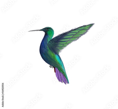 abstract silhouette flying hummingbirds illustration..exotic flying hummingbird isolated on white background 