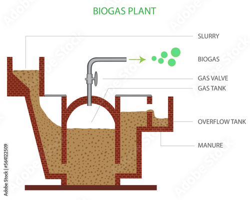 A biogas plant utilizes cow dung in anaerobic digestion to produce methane-rich bio-gas for energy and organic fertilizer, promoting renewable energy and sustainable agriculture