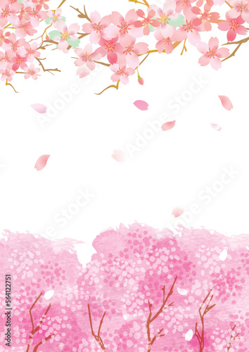 桜　優しい春の背景イラスト