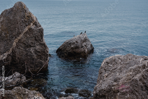 Few cormorants sitting on rock of in Cape Alchak. Crimea photo