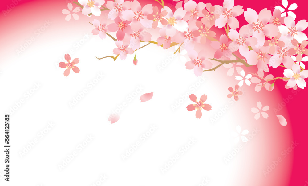 桜　優しい春の背景イラスト