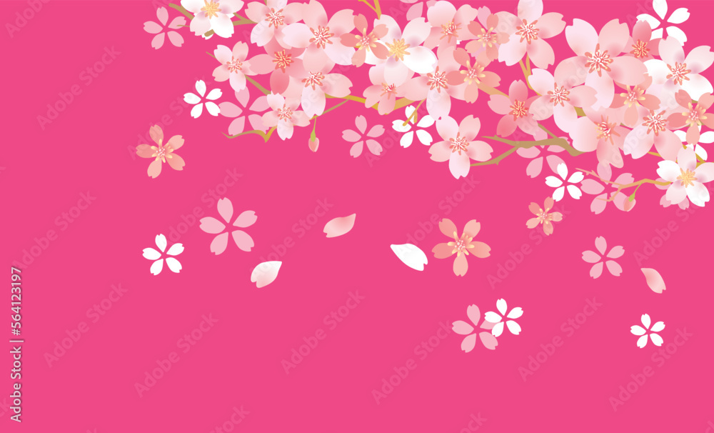 桜 優しい春の背景イラスト 桜 優しい春の背景イラスト