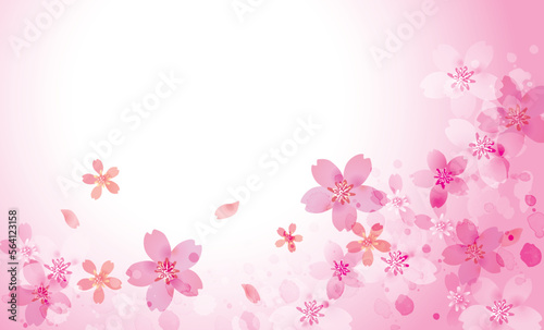 桜　優しい春の背景イラスト
