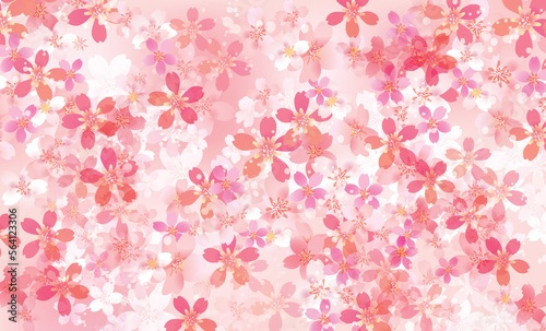 桜　優しい春の背景イラスト