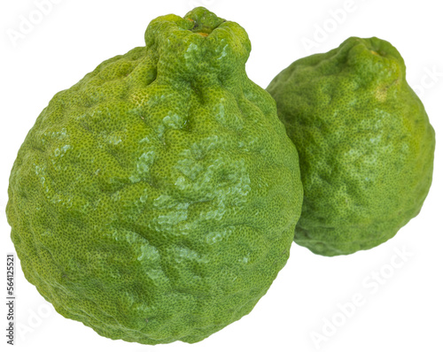 Close-up shot of fresh Kaffir or bergamot.