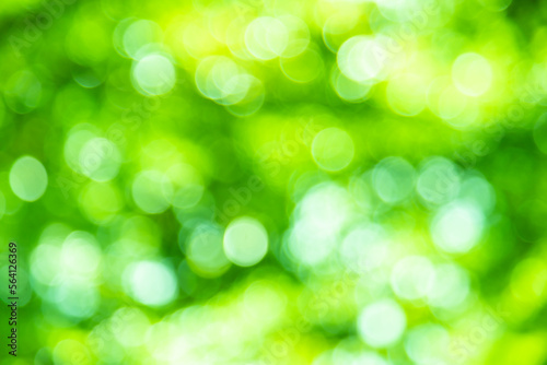 Green color bokeh, Green bacground, Blurred nature bokeh ure for the background