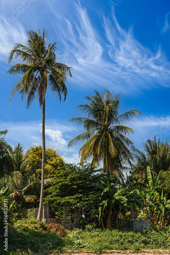 The beautiful countryside of Cambodia