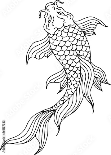 design illustration outline asian gold fish