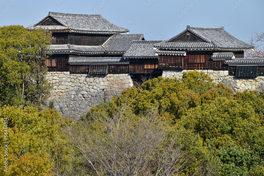 松山城の美しい風景 松山城の美しい風景