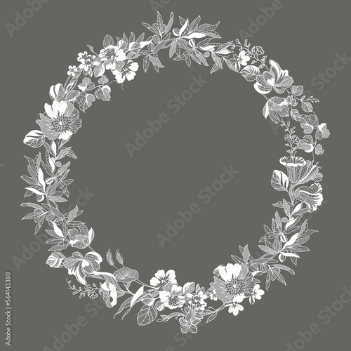 Floral frame. Lace vector illustration.